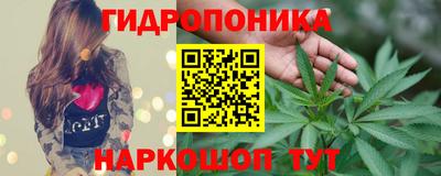 дмт Пенза