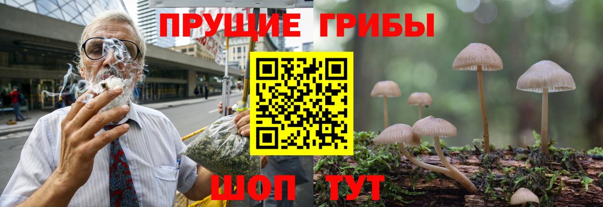 Острогожск  дарнет шоп  Вход с VPN  Галлюциногенные грибы MAGIC MUSHROOMS 