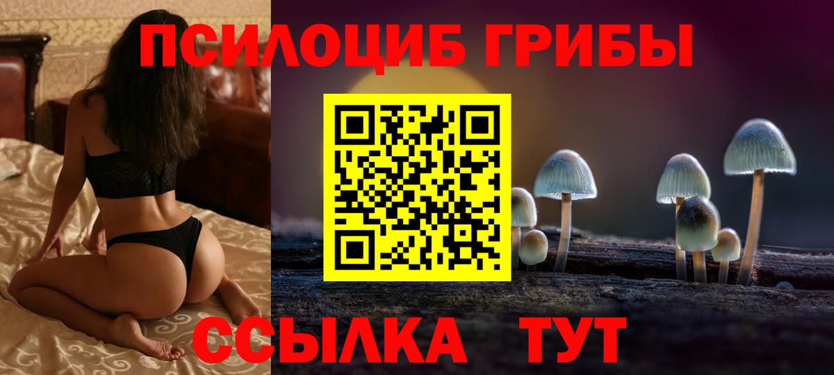 Галлюциногенные грибы MAGIC MUSHROOMS Острогожск